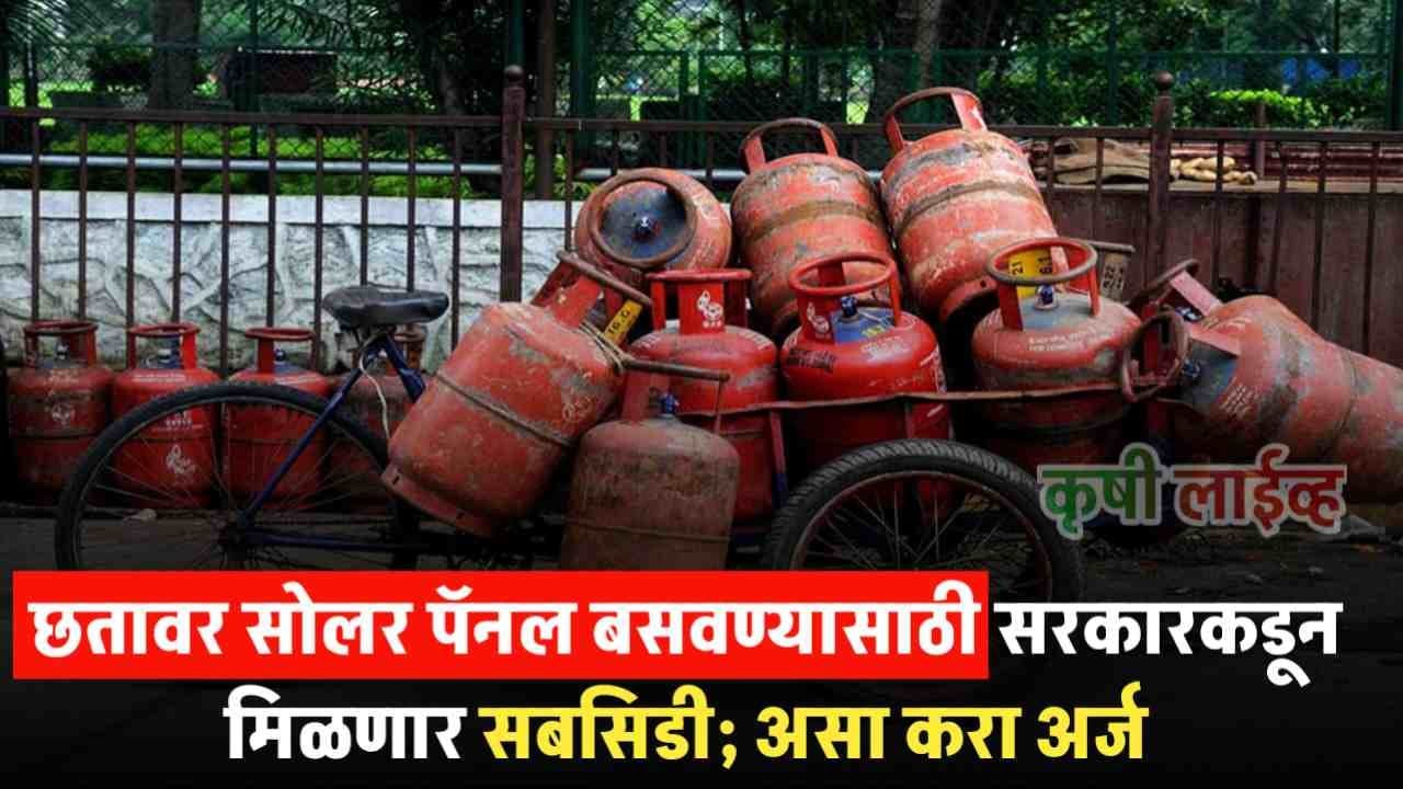 LPG Cylinder Price