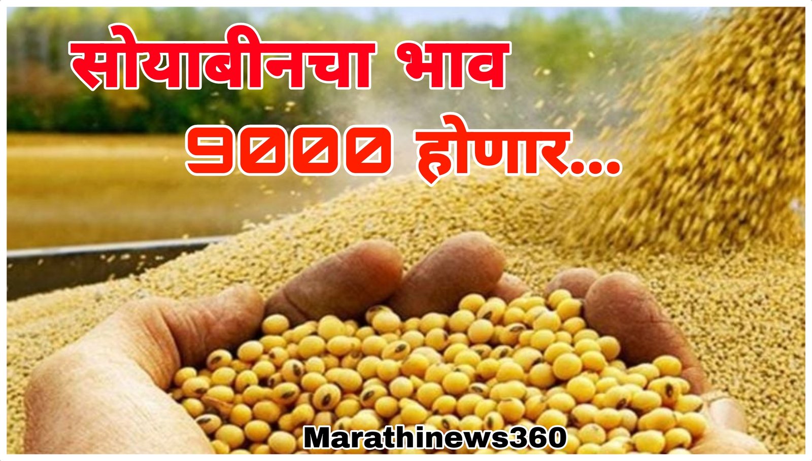 Soyabean Rate Today