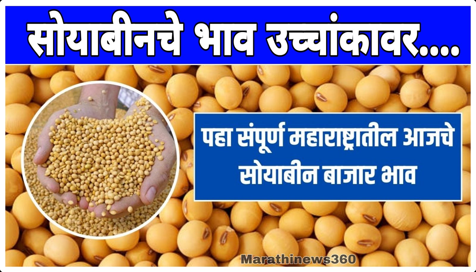 Soybean market Maharashtra