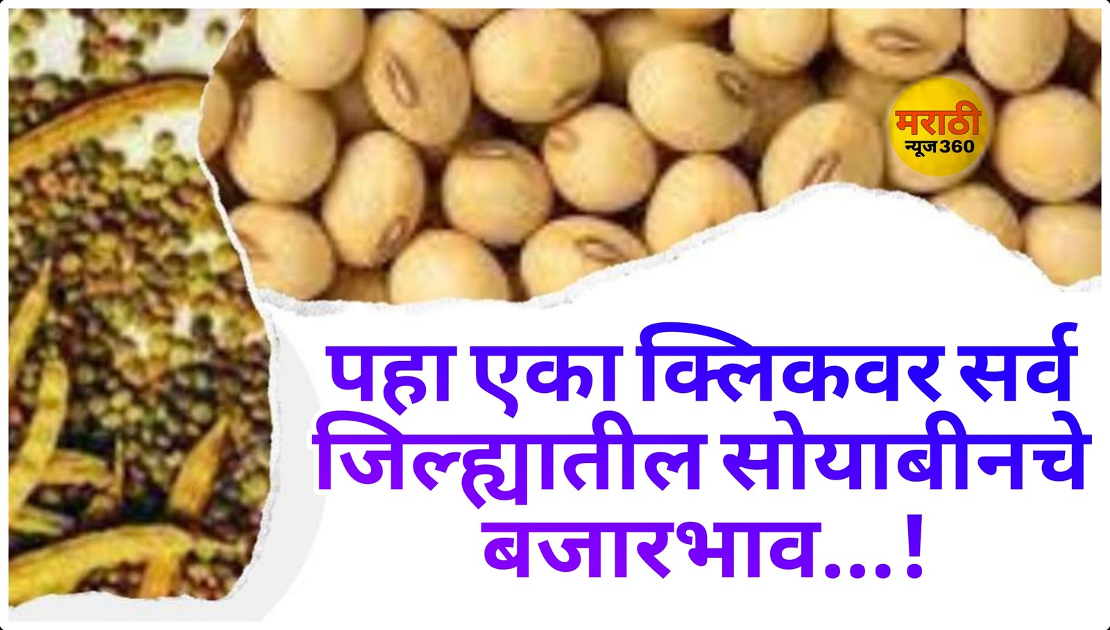 Soyabean Rate Today